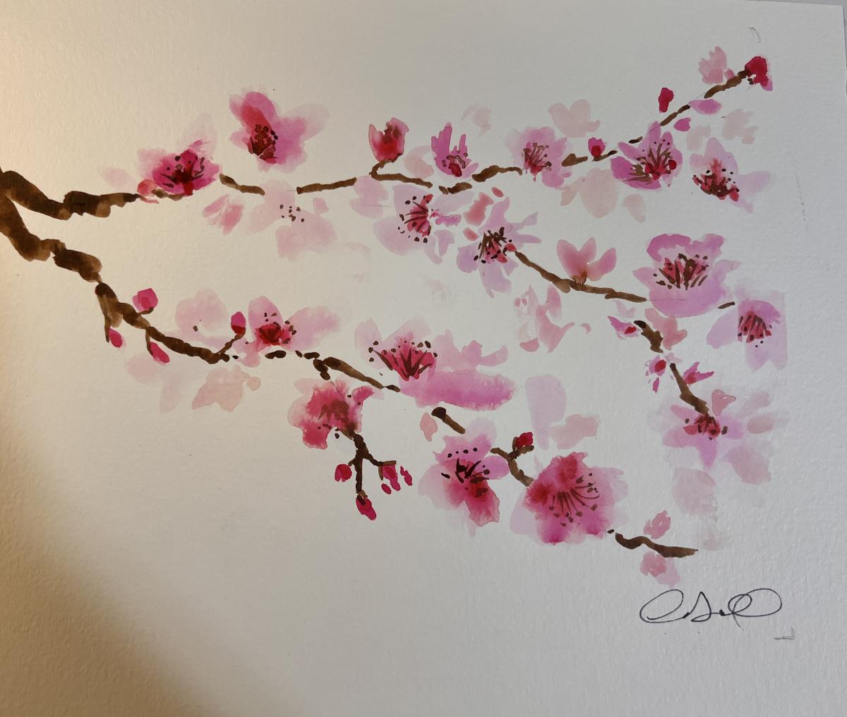 Watercolor of sakura