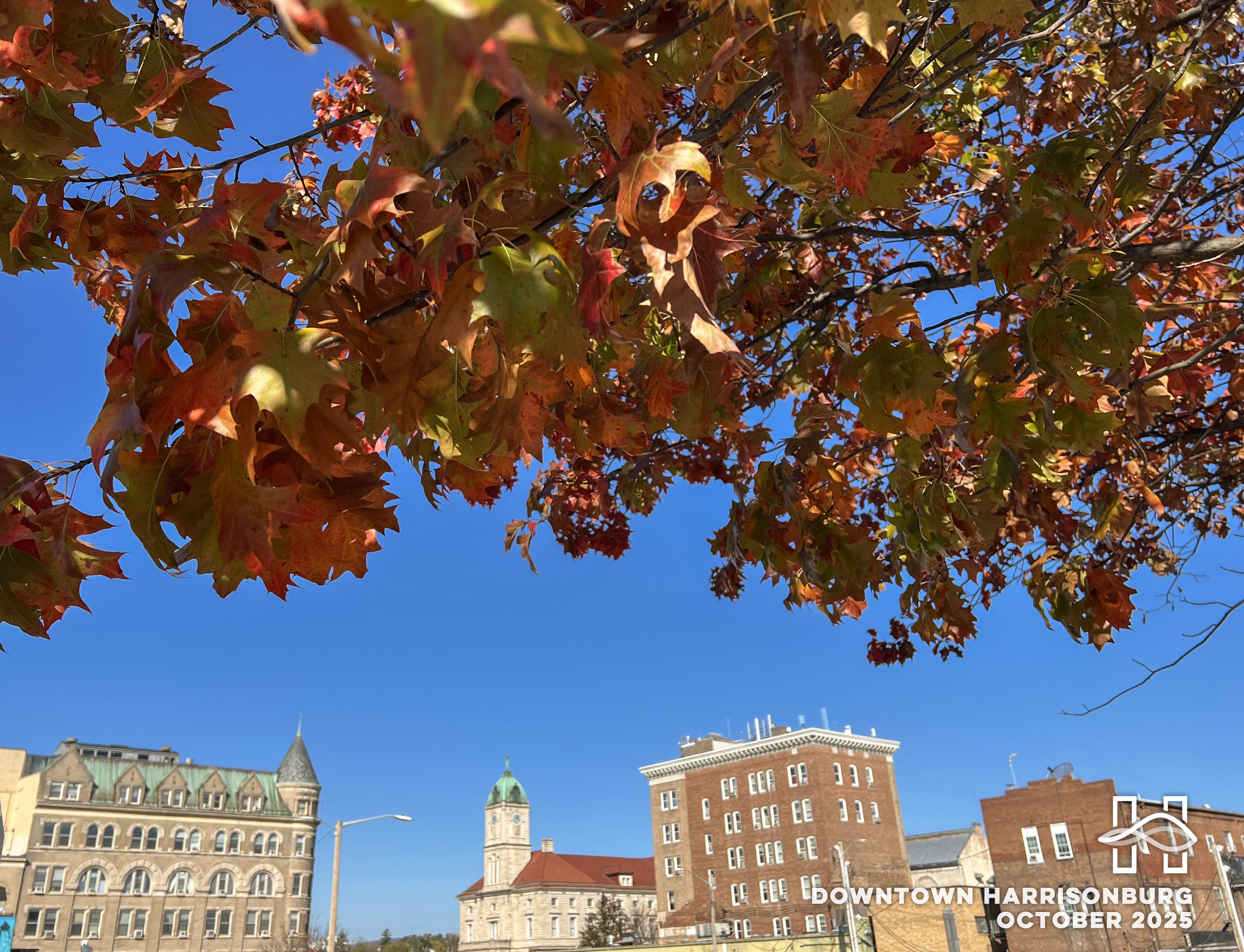 Changing leaves overlooking downtown Harrisonburg buildings with text Downtown Harrisonburg October 2025.