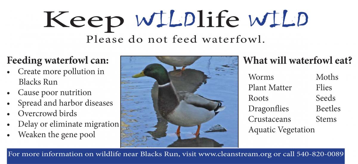 Keep Wildlife Wild