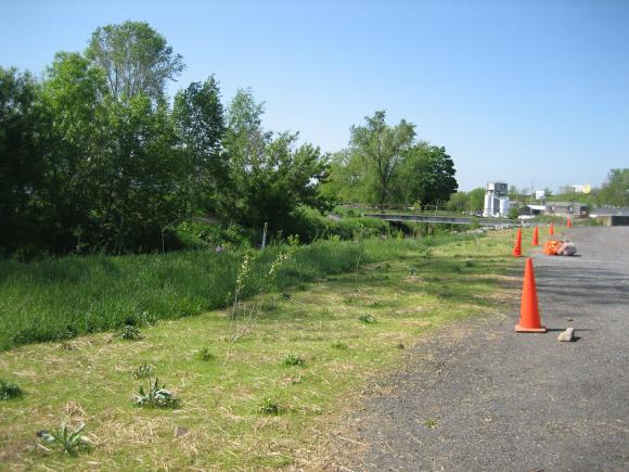 Public Works Stream Buffer, 2008