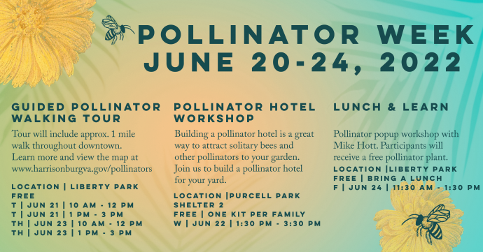 Pollinator Week Event Flyer